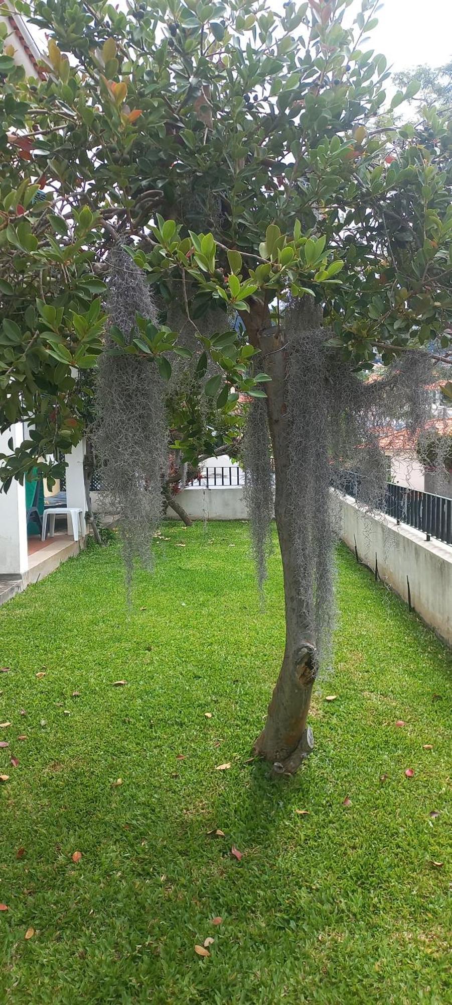 Villa Cosy Nook ฟุงชาล ภายนอก รูปภาพ