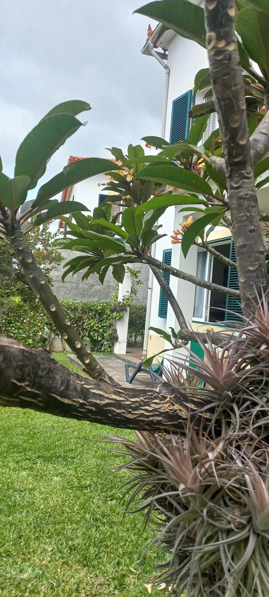 Villa Cosy Nook ฟุงชาล ภายนอก รูปภาพ