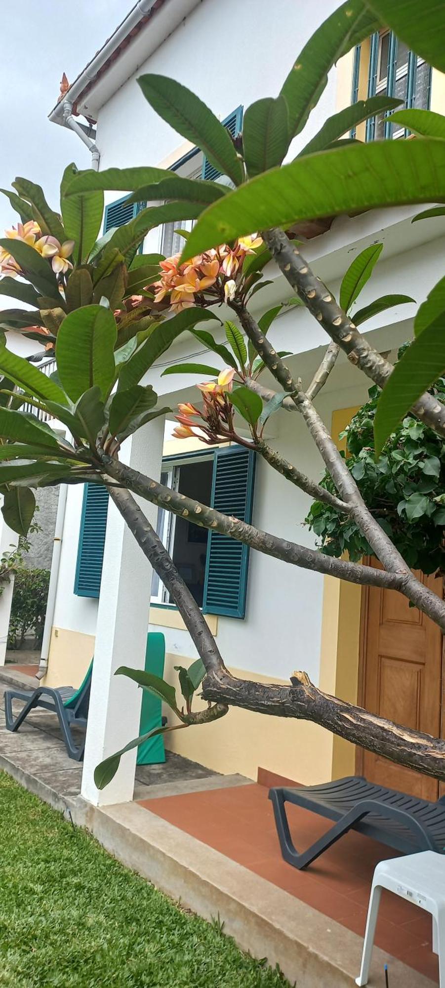 Villa Cosy Nook ฟุงชาล ภายนอก รูปภาพ